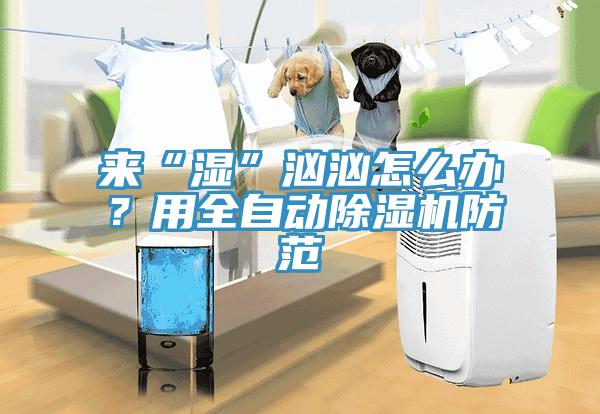 來(lái)“濕”洶洶怎么辦？用全自動(dòng)除濕機防范