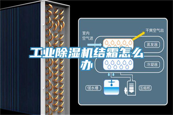 工業(yè)除濕機結霜怎么辦