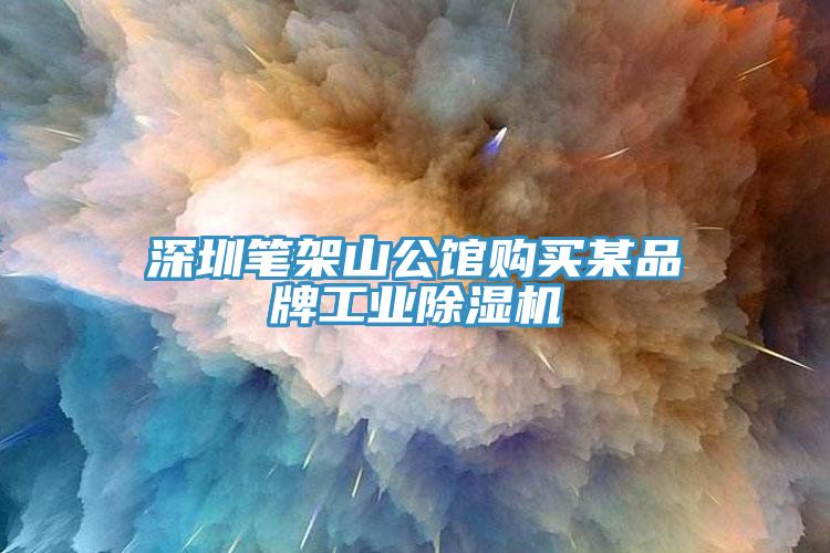 深圳筆架山公館購買(mǎi)某品牌工業(yè)除濕機