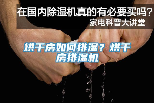 烘干房如何排濕？烘干房排濕機