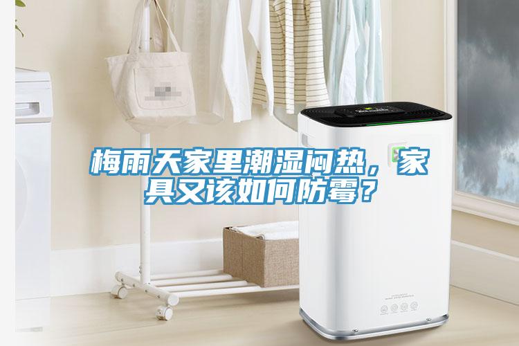 梅雨天家里潮濕悶熱，家具又該如何防霉？