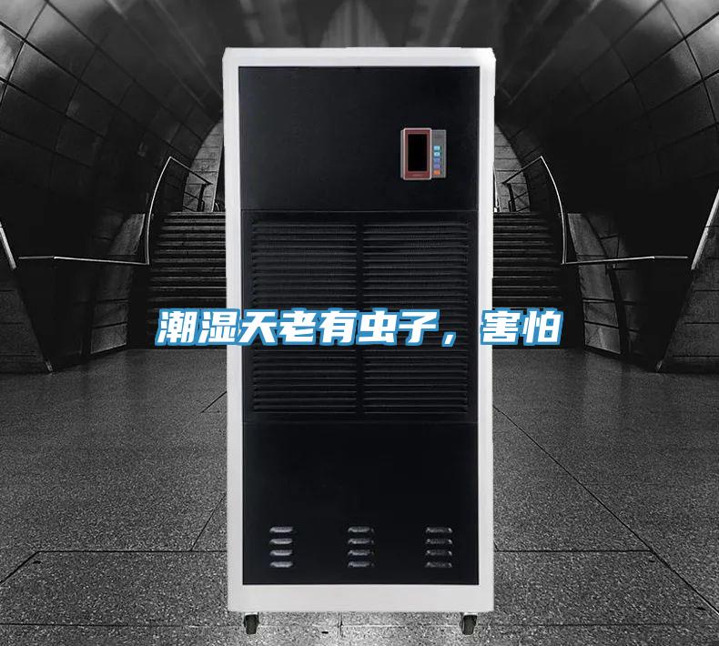 潮濕天老有蟲(chóng)子，害怕