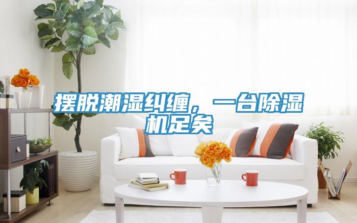 擺脫潮濕糾纏，一臺除濕機足矣