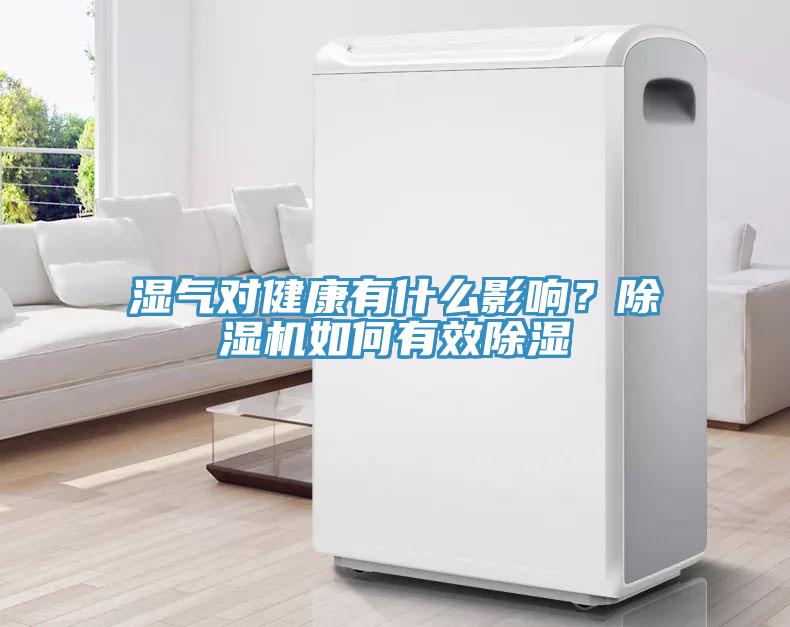 濕氣對健康有什么影響？除濕機如何有效除濕