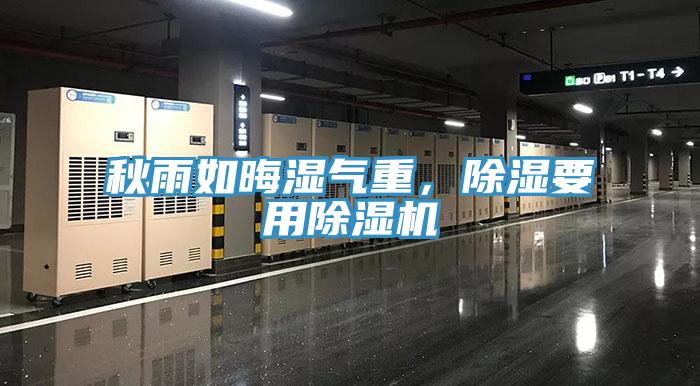 秋雨如晦濕氣重，除濕要用除濕機