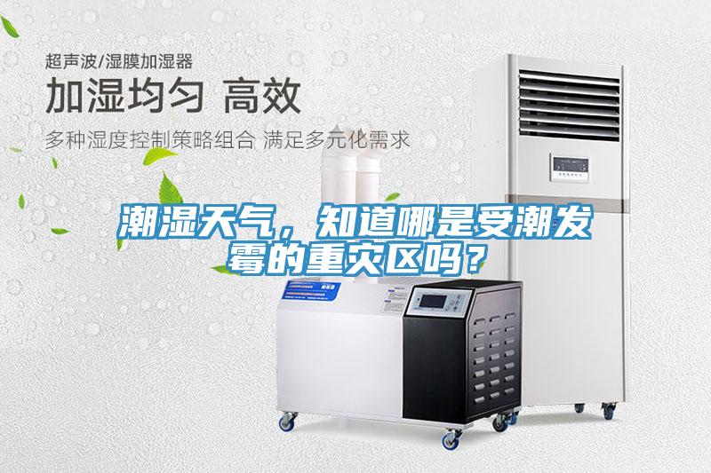 潮濕天氣，知道哪是受潮發(fā)霉的重災區嗎？