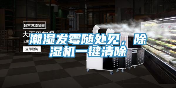 潮濕發(fā)霉隨處見(jiàn)，除濕機一鍵清除