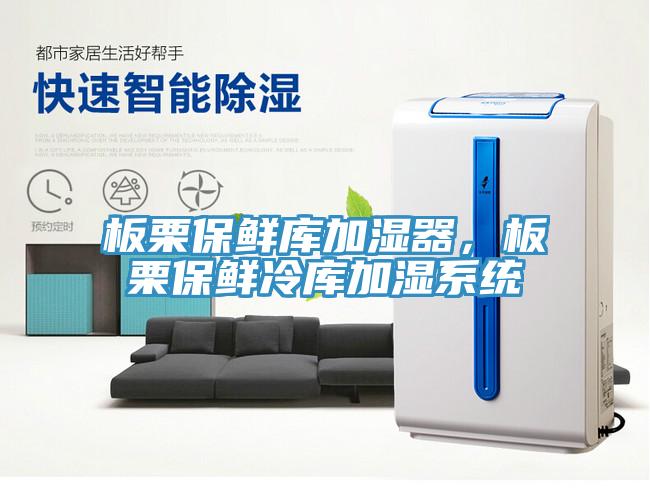 板栗保鮮庫加濕器，板栗保鮮冷庫加濕系統