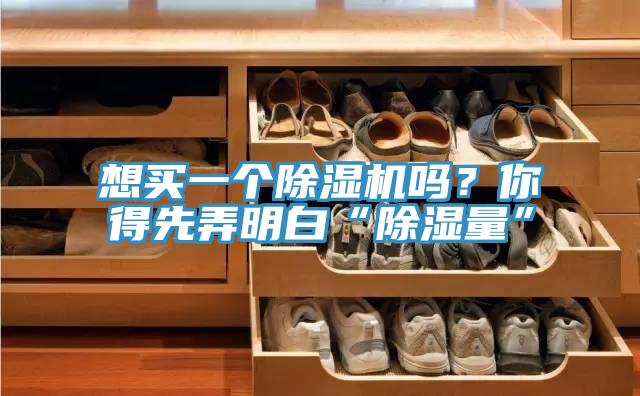 想買(mǎi)一個(gè)除濕機嗎？你得先弄明白“除濕量”