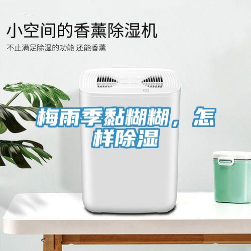 梅雨季黏糊糊，怎樣除濕