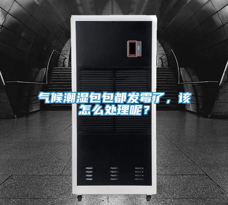 氣候潮濕包包都發(fā)霉了，該怎么處理呢？