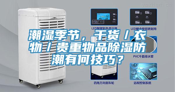 潮濕季節，干貨／衣物／貴重物品除濕防潮有何技巧？