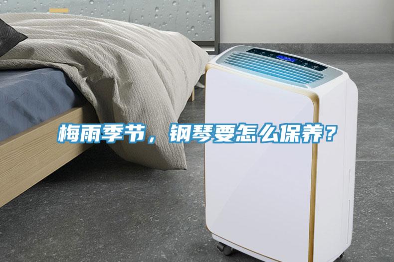 梅雨季節，鋼琴要怎么保養？