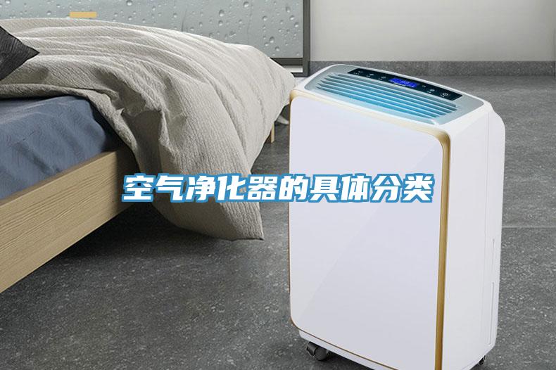 空氣凈化器的具體分類(lèi)