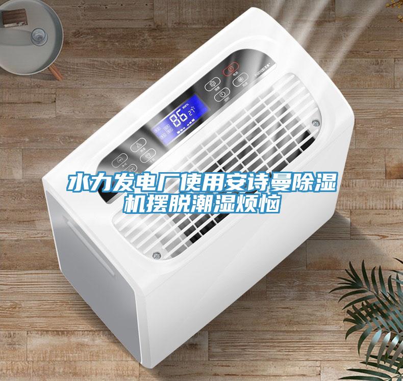 水力發(fā)電廠(chǎng)使用安詩(shī)曼除濕機擺脫潮濕煩惱