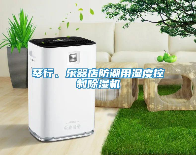 琴行、樂(lè )器店防潮用濕度控制除濕機