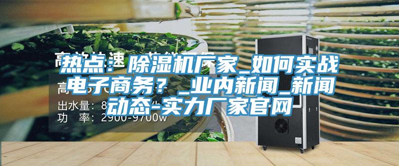 熱點(diǎn)：除濕機廠(chǎng)家_如何實(shí)戰電子商務(wù)？_業(yè)內新聞_新聞動(dòng)態(tài)-實(shí)力廠(chǎng)家官網(wǎng)