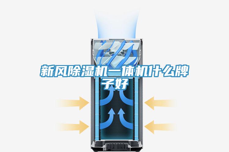 新風(fēng)除濕機一體機什么牌子好