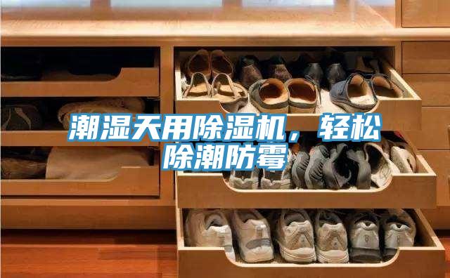 潮濕天用除濕機，輕松除潮防霉