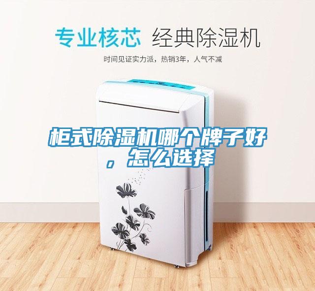 柜式除濕機哪個(gè)牌子好，怎么選擇