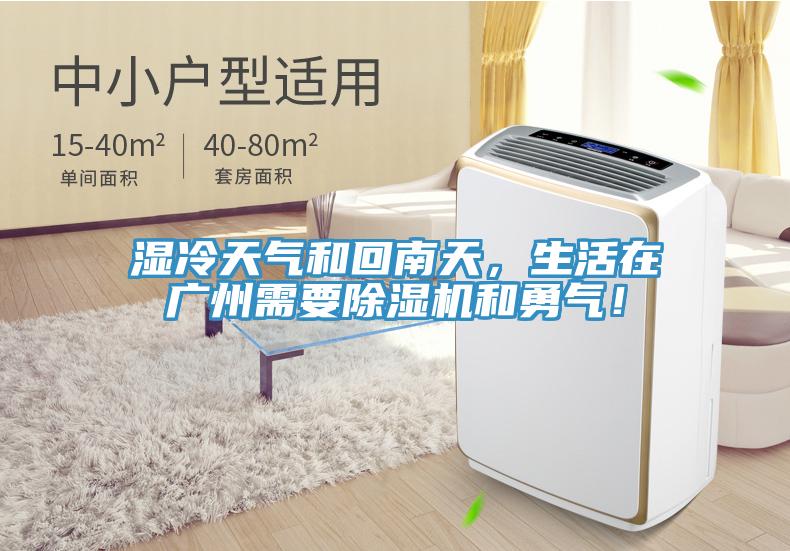 濕冷天氣和回南天，生活在廣州需要除濕機和勇氣！