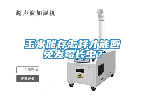 玉米儲存怎樣才能避免發(fā)霉長(cháng)蟲(chóng)？