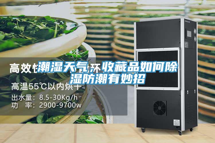 潮濕天氣，收藏品如何除濕防潮有妙招