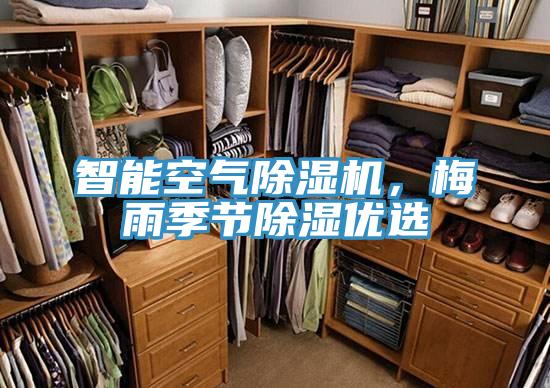 智能空氣除濕機，梅雨季節除濕優(yōu)選
