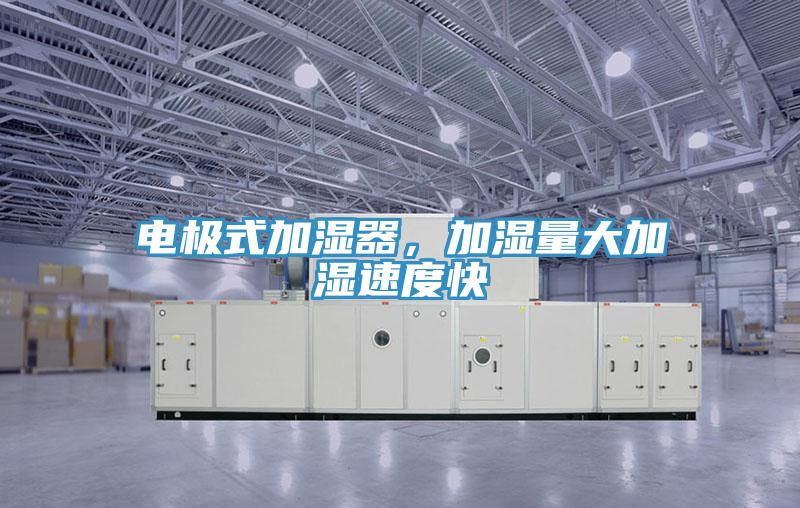 電極式加濕器，加濕量大加濕速度快