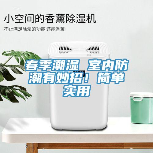 春季潮濕 室內防潮有妙招！簡(jiǎn)單實(shí)用