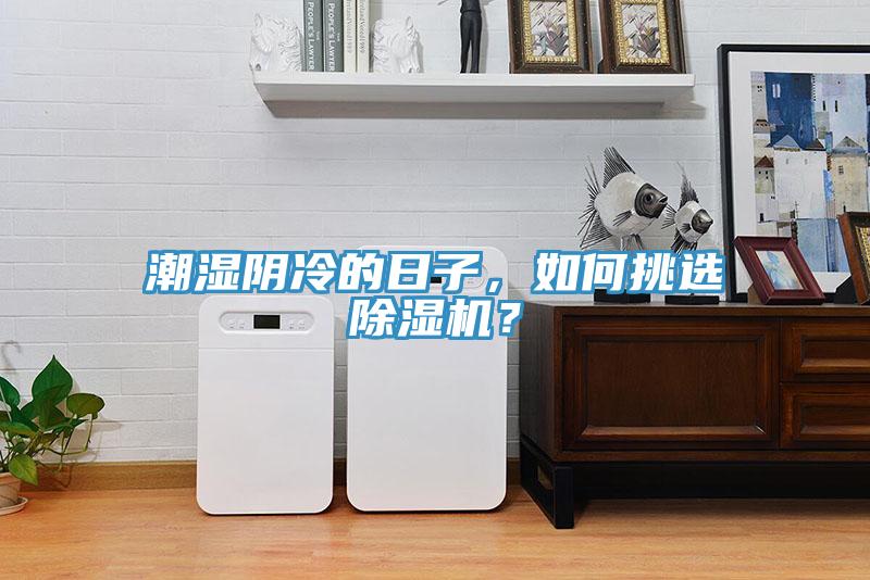 潮濕陰冷的日子，如何挑選除濕機？