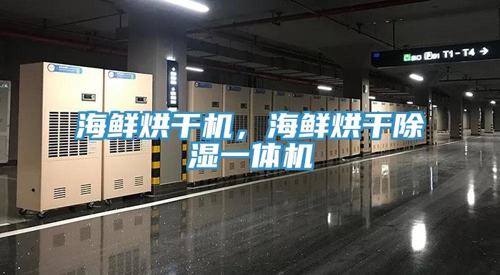 海鮮烘干機，海鮮烘干除濕一體機