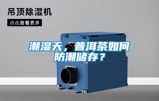 潮濕天，普洱茶如何防潮儲存？