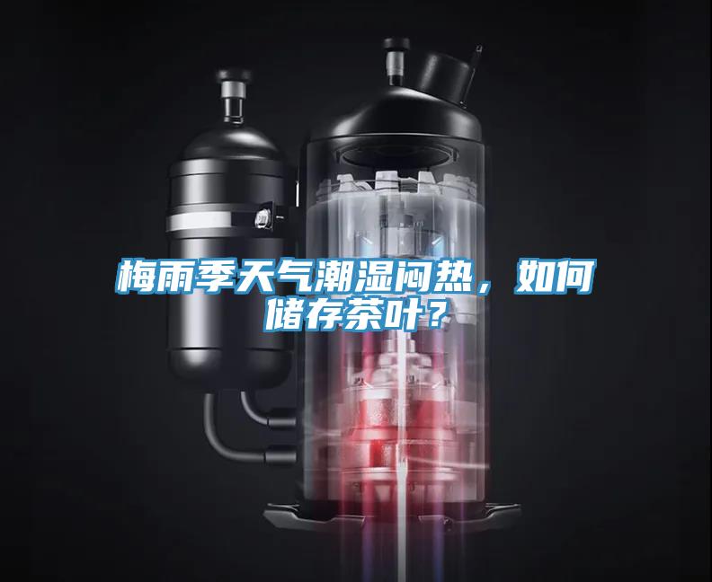 梅雨季天氣潮濕悶熱，如何儲存茶葉？