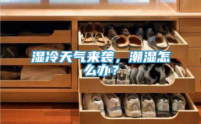 濕冷天氣來(lái)襲，潮濕怎么辦？