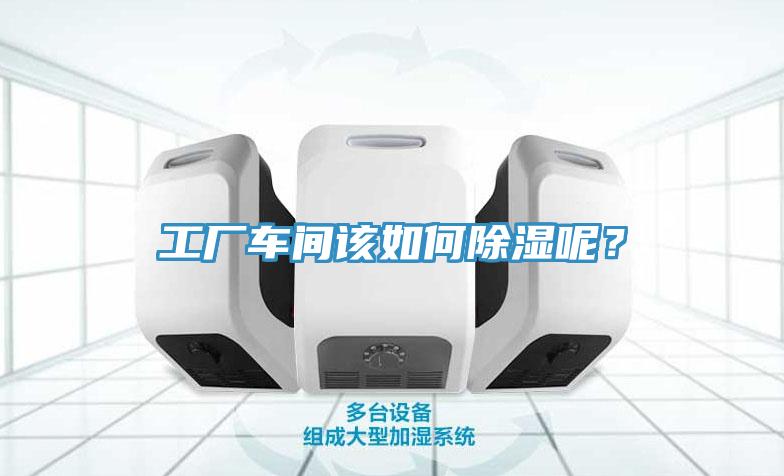 工廠(chǎng)車(chē)間該如何除濕呢？