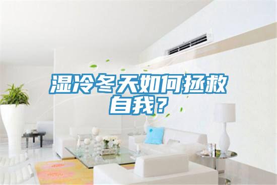 濕冷冬天如何拯救自我？
