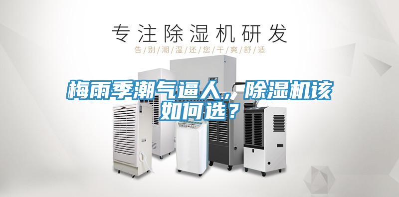 梅雨季潮氣逼人，除濕機該如何選？