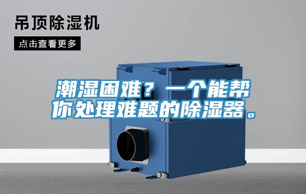 潮濕困難？一個(gè)能幫你處理難題的除濕器。