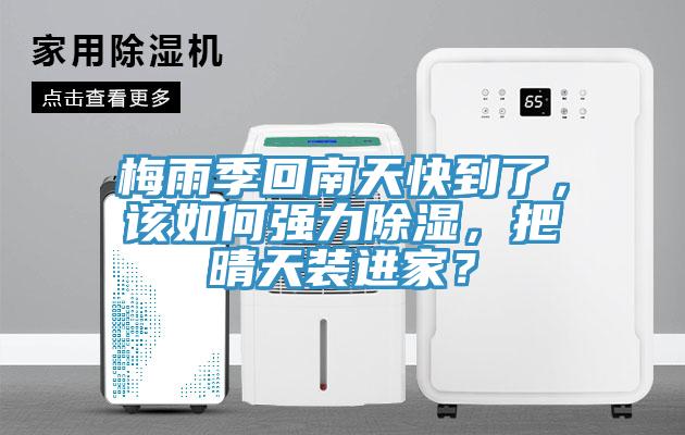 梅雨季回南天快到了，該如何強力除濕，把晴天裝進(jìn)家？