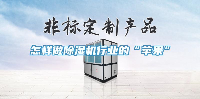 怎樣做除濕機行業(yè)的“蘋(píng)果”