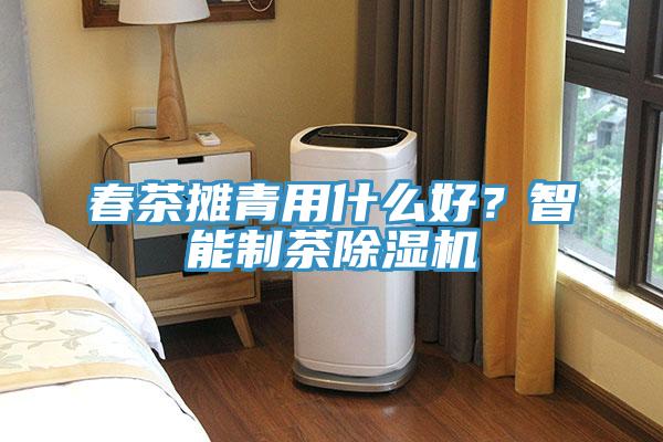 春茶攤青用什么好？智能制茶除濕機