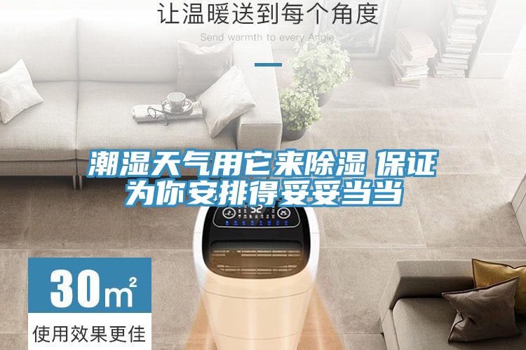 潮濕天氣用它來(lái)除濕　保證為你安排得妥妥當當