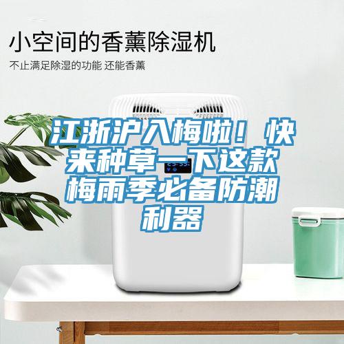 江浙滬入梅啦！快來(lái)種草一下這款梅雨季必備防潮利器