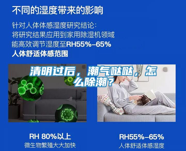 清明過(guò)后，潮氣噠噠，怎么除潮？