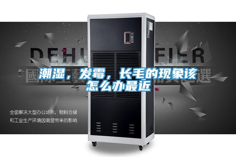 潮濕，發(fā)霉，長(cháng)毛的現象該怎么辦最近