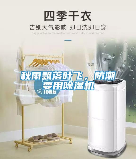 秋雨飄落葉飛，防潮要用除濕機