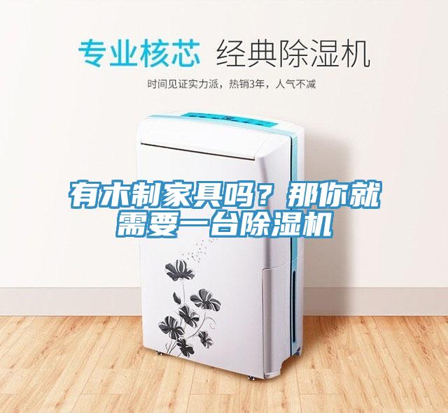 有木制家具嗎？那你就需要一臺除濕機