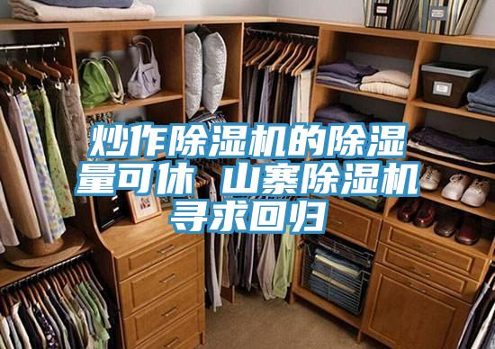 炒作除濕機的除濕量可休 山寨除濕機尋求回歸