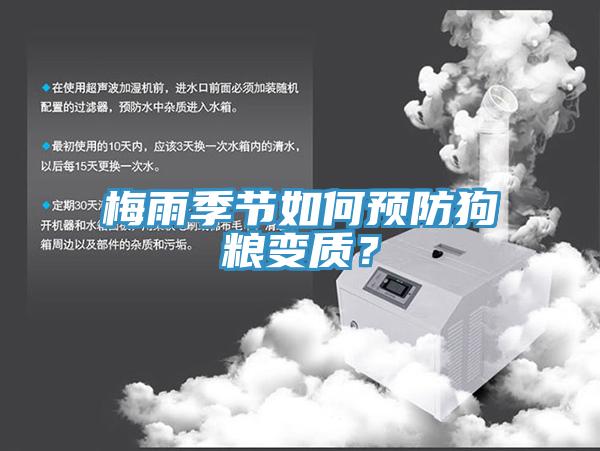 梅雨季節如何預防狗糧變質(zhì)？